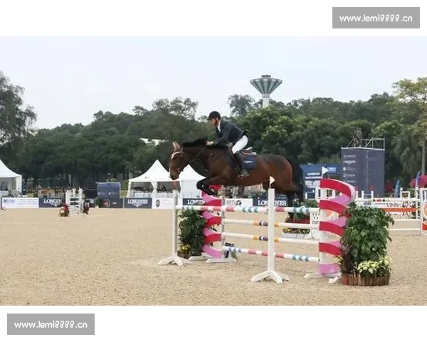 足球与体育彩票：如何通过科学分析提升投注策略与赛事预测的准确性