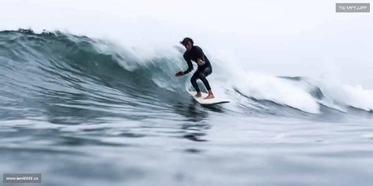 行业领先的理由